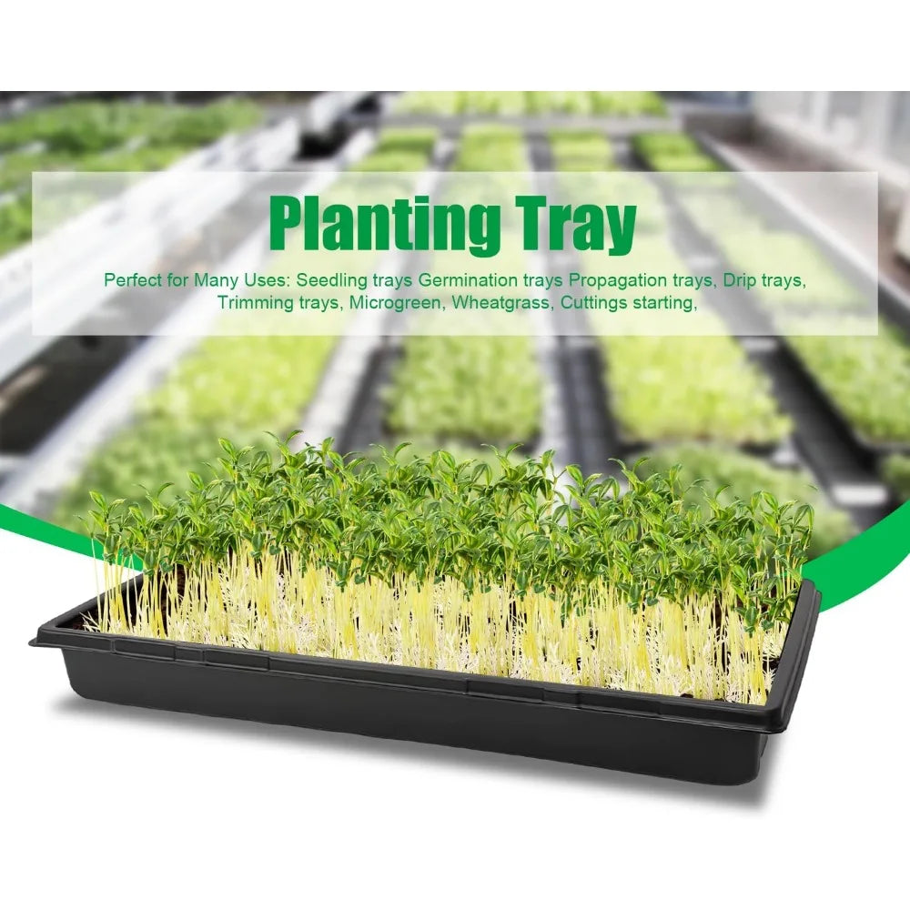 Sturdy Microgreens Growing Trays No Drain Holes Indoor Gardening