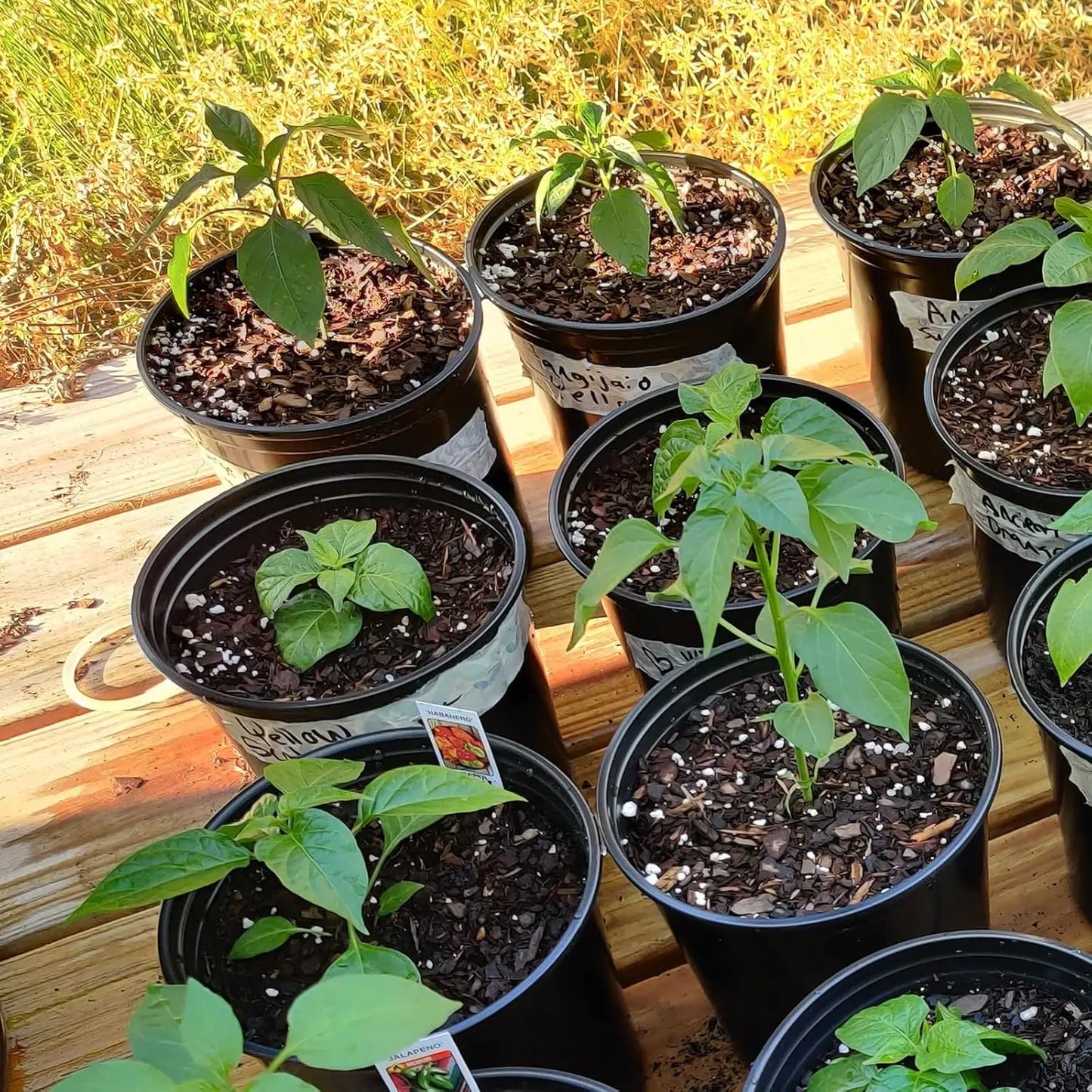 25 Packs 1 Gallon Nursery Trade Pots, Black Plastic Plant Nursery Pots Round Planter Nursery Pot for Plants Flowers, Suc